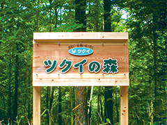 The TSUKUI Forest